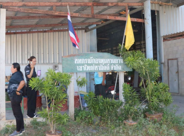  ศูนย์ถ่ายทอดเทคโนโลยีการสหกรณ์ที่ 20 ... พารามิเตอร์รูปภาพ 1